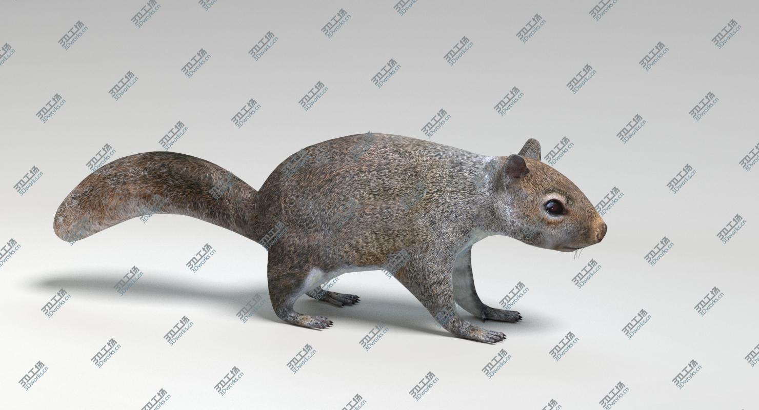 images/goods_img/2021040231/3D Animated Game Animals Set 1 model/3.jpg